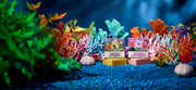 SpongeBob 4-Pack G3