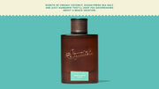 Castaway Cove Cologne Q4