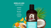 Coconut Castaway Conditioner T5