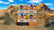 Dragon Ball Z 4-Pack H1