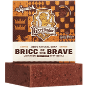 Bricc of the Brave D1