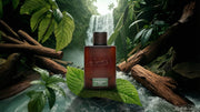 Rainforest Mist Cologne J1