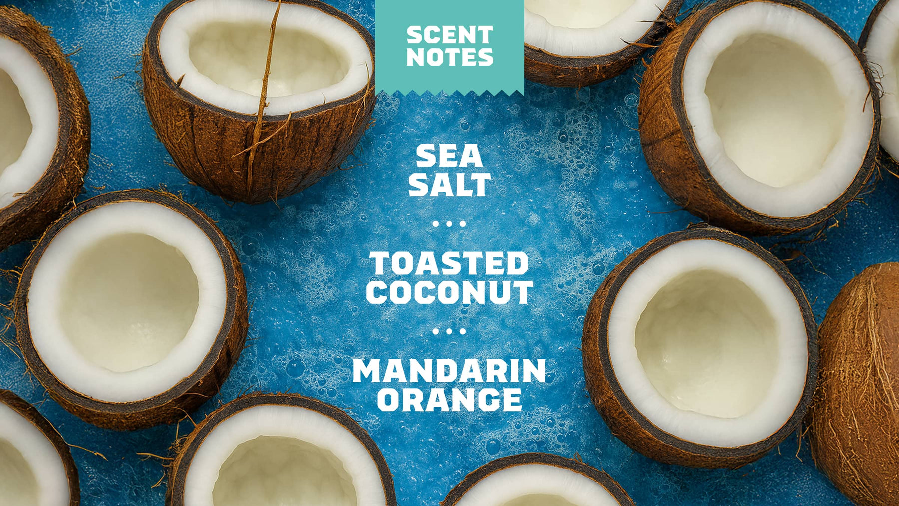 Coconut Castaway Lotion S4