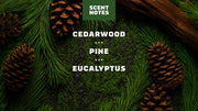 Pine Tar Lotion N2