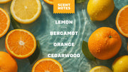 Summer Citrus Hand Soap C4