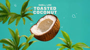 Coconut Castaway Lotion S6